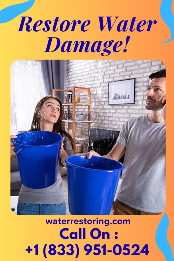 water restoration Best Flood Mitigation LLC Pachuta