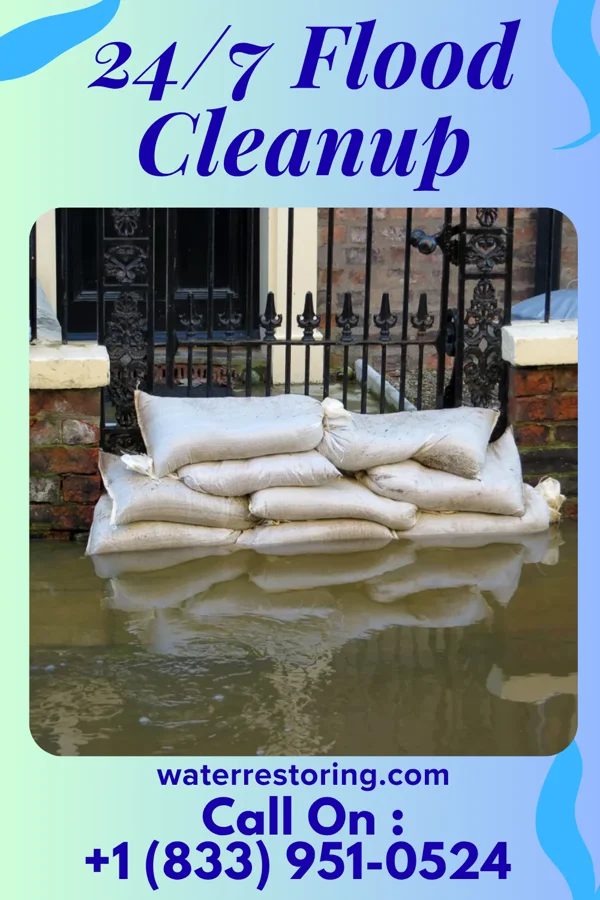 24/7 Flood Cleanup in Pachuta, MS
