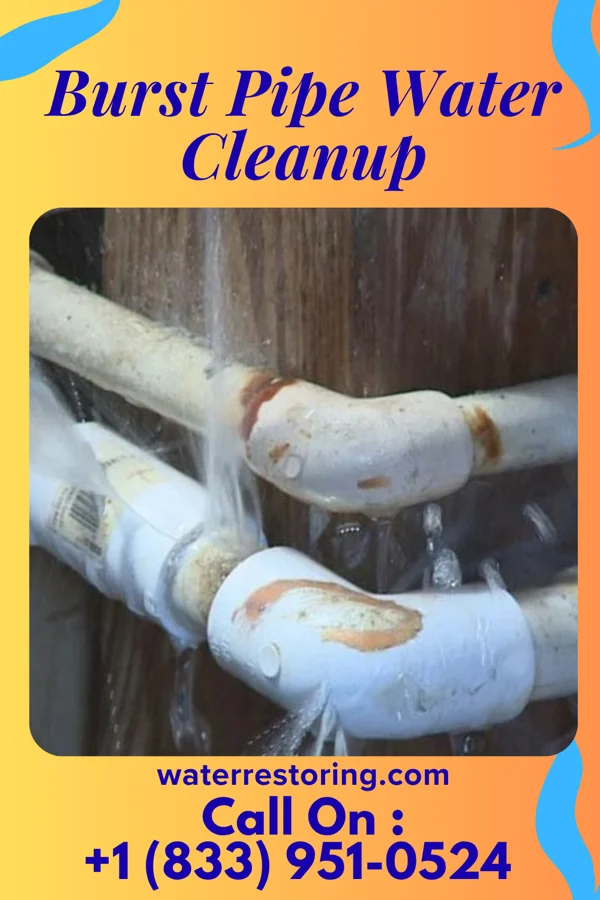 Burst Pipe Water Cleanup in Pachuta, MS