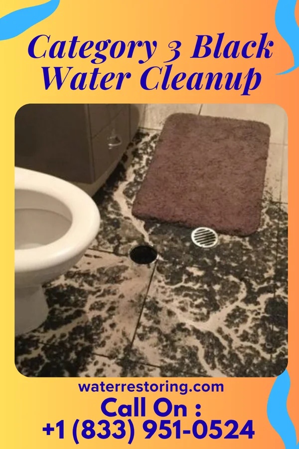 Category 3 Black Water Cleanup in Pachuta, MS