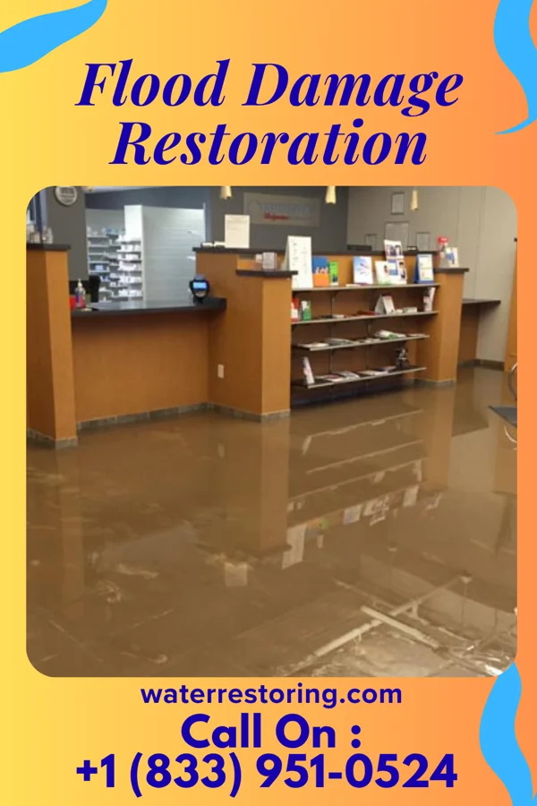 Flood Damage Restoration in Pachuta, MS