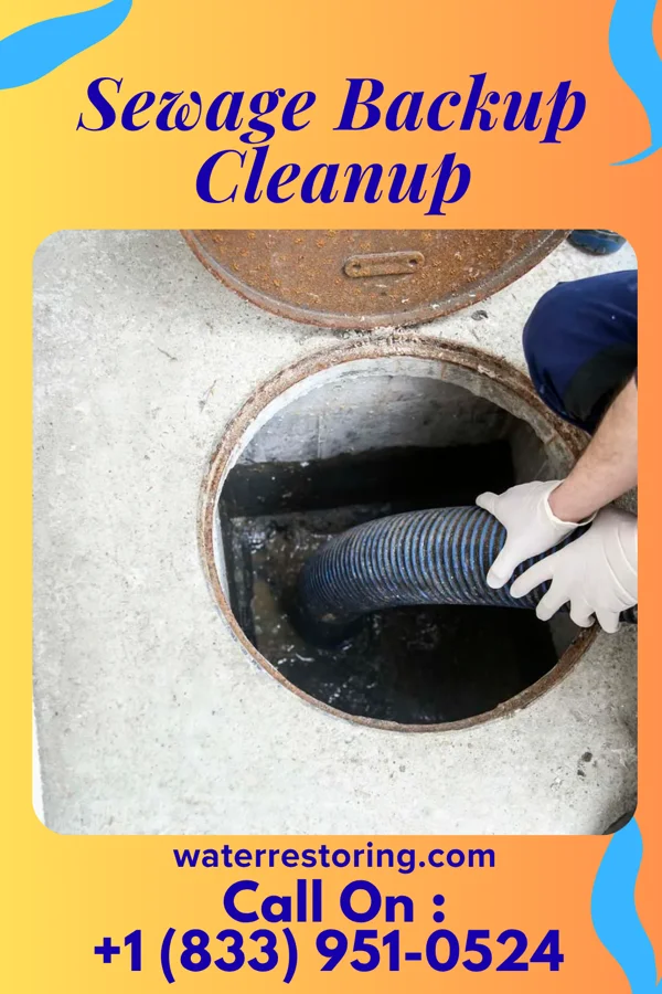 Sewage Backup Cleanup in Pachuta, MS