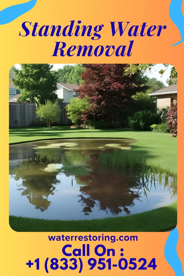 Standing Water Removal in Pachuta, MS